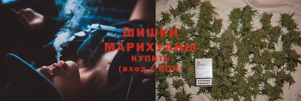 индика Киренск