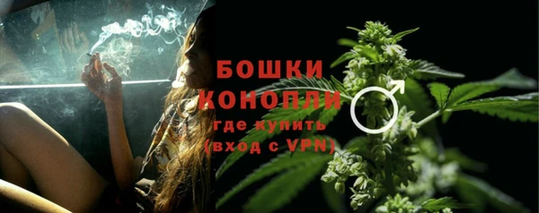 индика Киренск