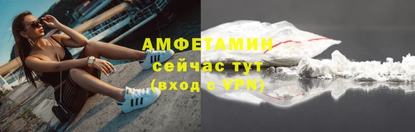 индика Киренск