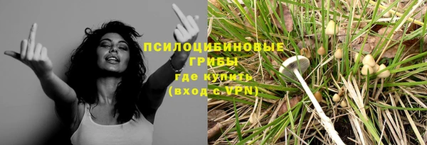 СК Киреевск
