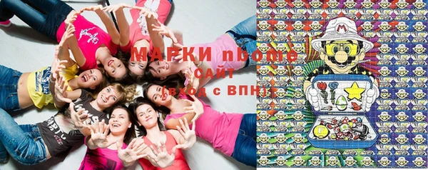 индика Киренск